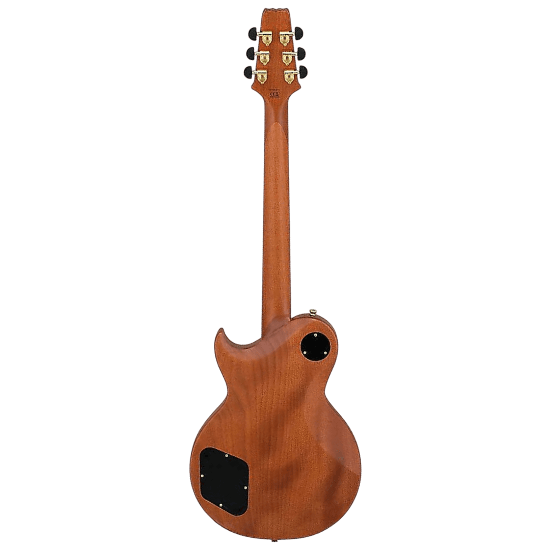 ARIAPRO II PE-WG/LTD GITAR ELEKTRIK