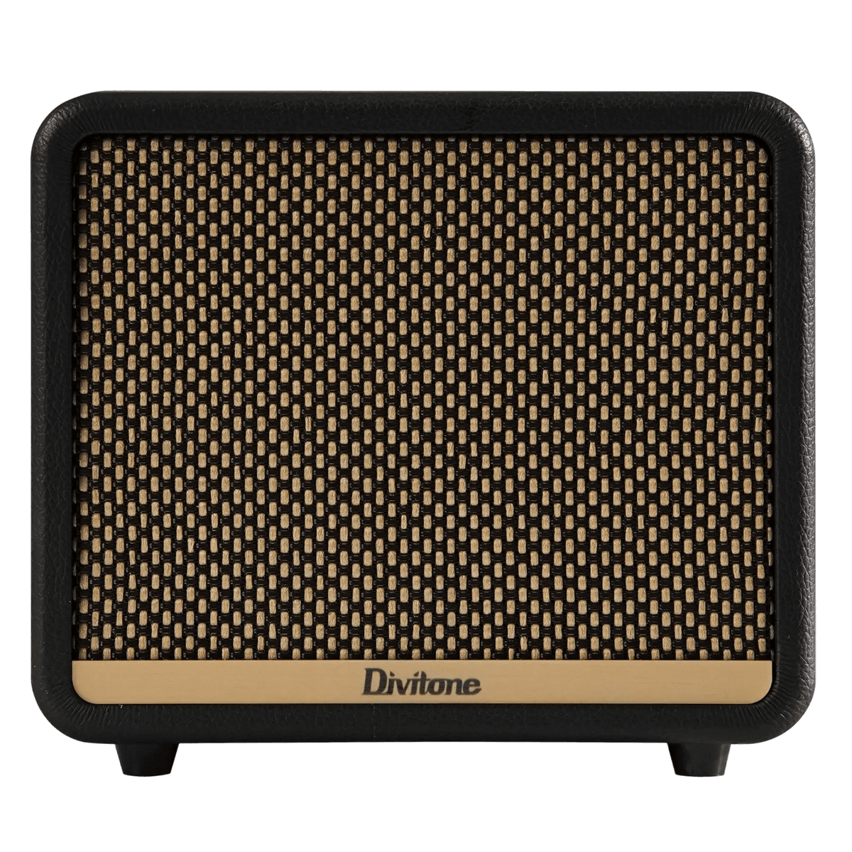 DIVITONE JAM 10 JAM10 JAM-10 RECHARGEABLE 10-WATT MODELLING AMPLIFIER