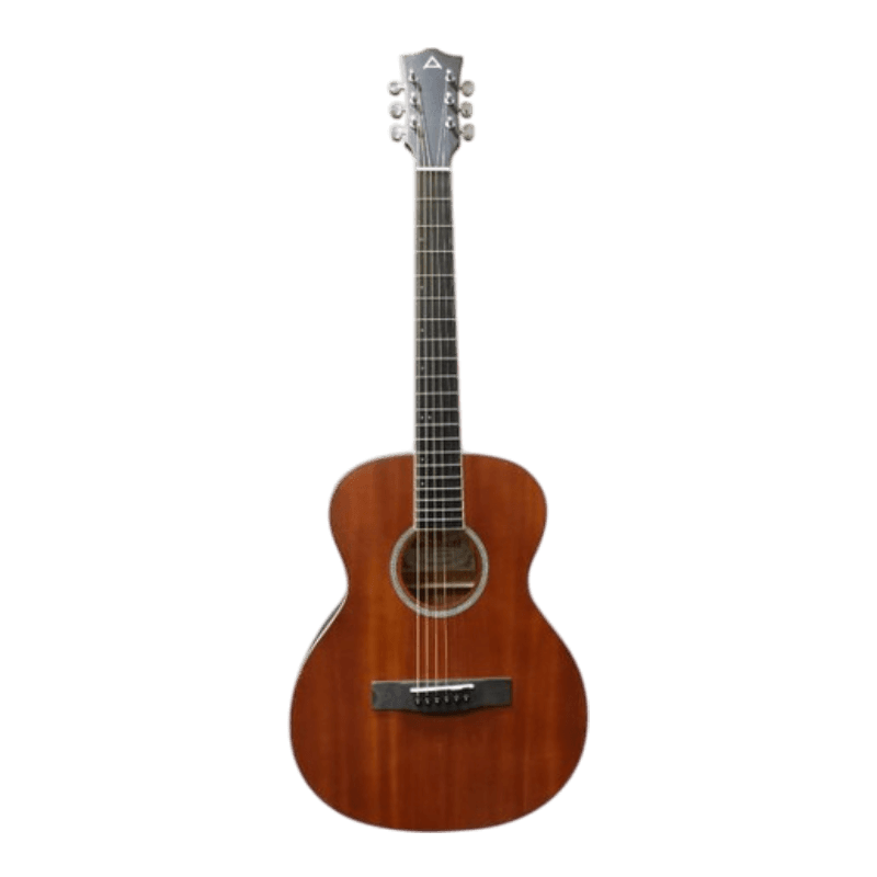 ANDERSON GUITARS OM-ASE 10MNT GITAR AKUSTIK