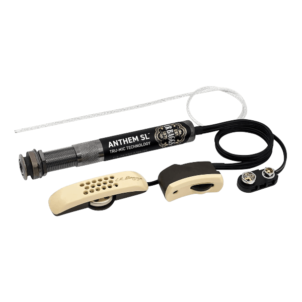 L. R. BAGGS L16 ANTHEM SL AKUSTIK