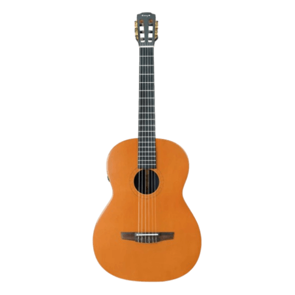 ENYA CLASSIC EC68 EQ ACOUSTICPLUS